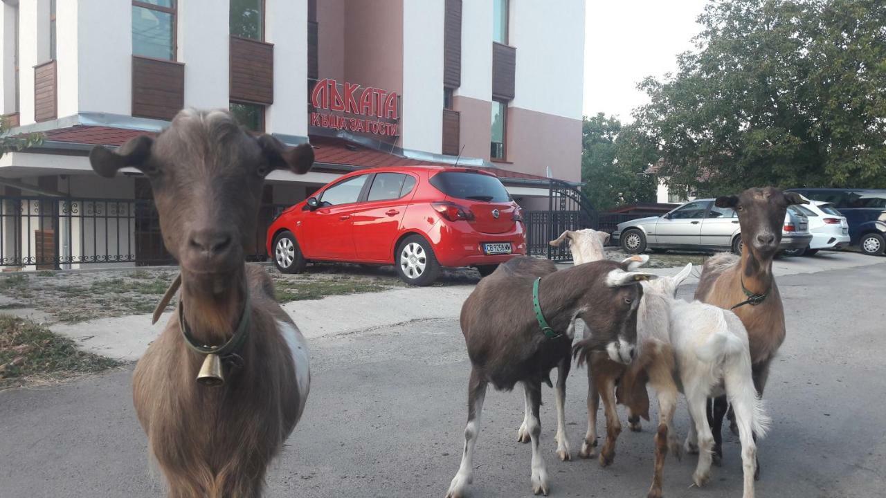 Lakata Guest House Zaszele Kültér fotó